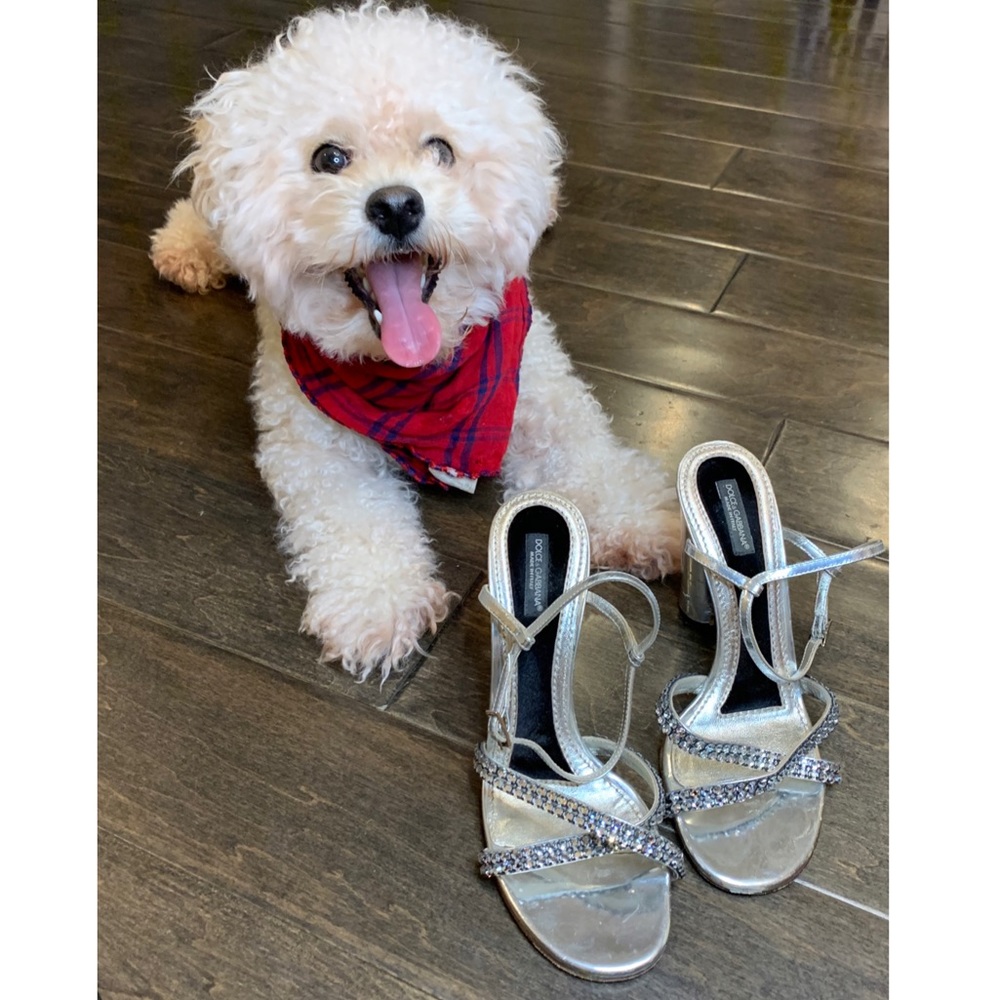 Dolce & Gabbana silver strappy heels 👠